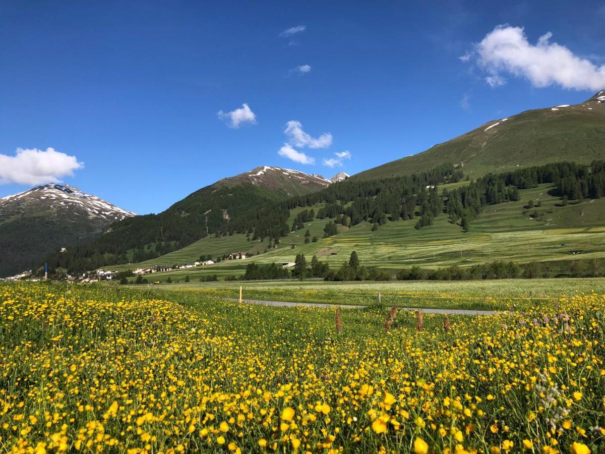 Chalet Breithorn- Perfect For Holiday With Amazing View! Obergesteln エクステリア 写真