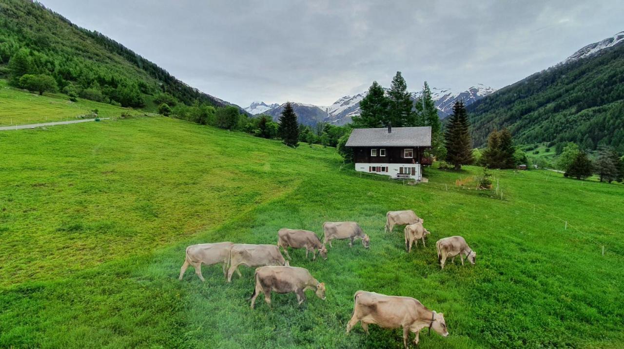 Chalet Breithorn- Perfect For Holiday With Amazing View! Obergesteln エクステリア 写真